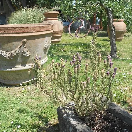 I Due Frassini * Montespertoli